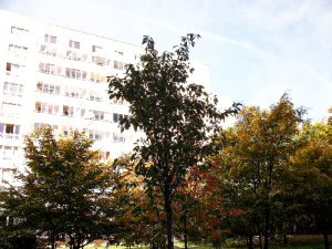 Fotoalbum Demenz WG Friedrichsfelde 31 Umgebung Friedrichsfelde 03