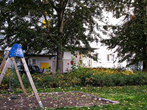 Fotoalbum Demenz WG Friedrichsfelde 29 Umgebung Friedrichsfelde 01