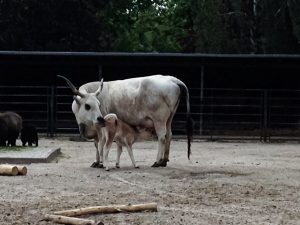 Fotoalbum Demenz WG Marzahn 54 Marzahn Ausfluege 22