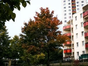 Fotoalbum Demenz WG Marzahn 32 Marzahn Umgebung 05