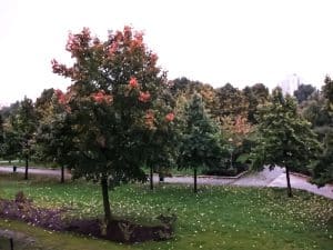 Fotoalbum Demenz WG Marzahn 30 Marzahn Umgebung 03